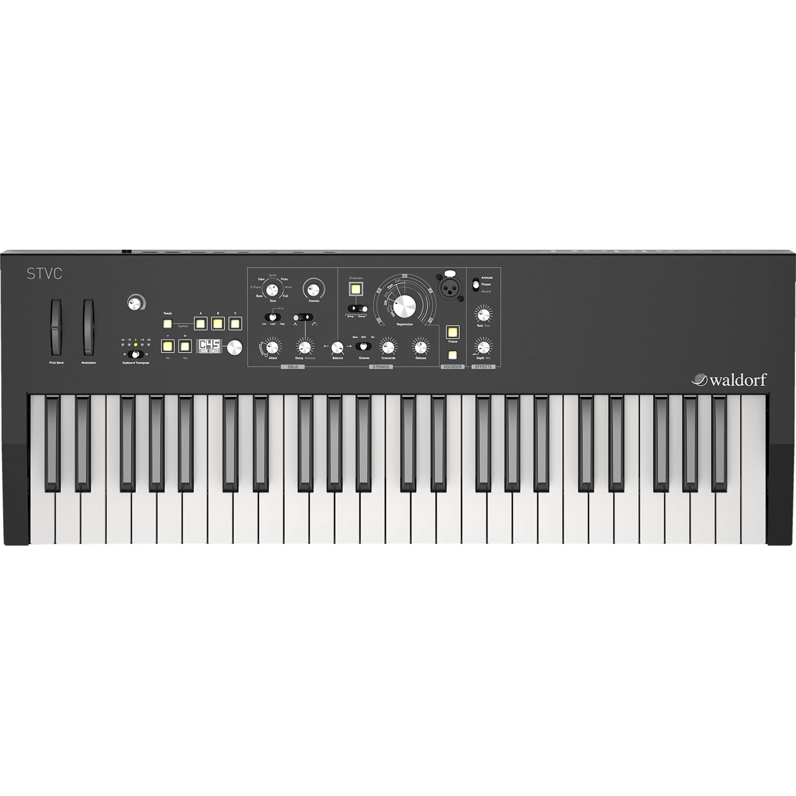 Amazon.com: Waldorf STVC String Synthesizer and Vocoder : Musical